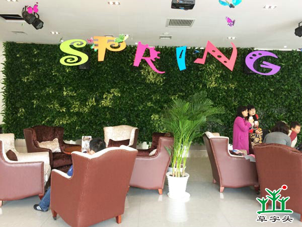 長(zhǎng)沙陽(yáng)光100——立體綠化、垂直綠化、墻體綠化、植物墻