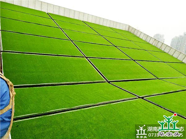 湘潭市博物館與規(guī)劃館，屋頂人造草皮綠化施工案例